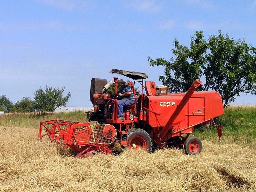 kombajn vetern - 1. 8. 2009 - pole blzko Otavanu ve Slavonicch