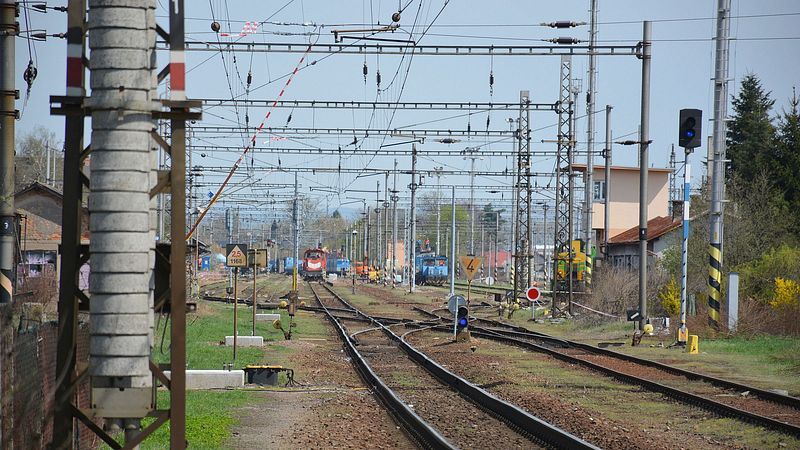 pohled do zhlav, kde u chyb st ze sud skupiny