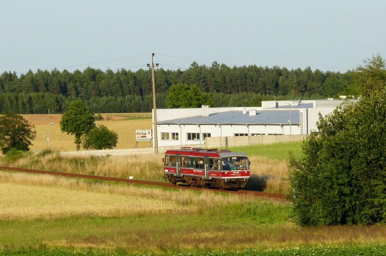 SN81-003, Chojnice , 4.7.2014, autor: Vojtch Gek