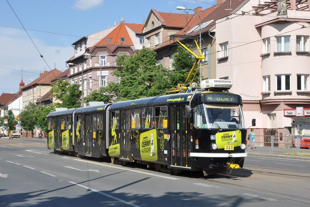 ern svdom, Klatovsk tda (Bory)