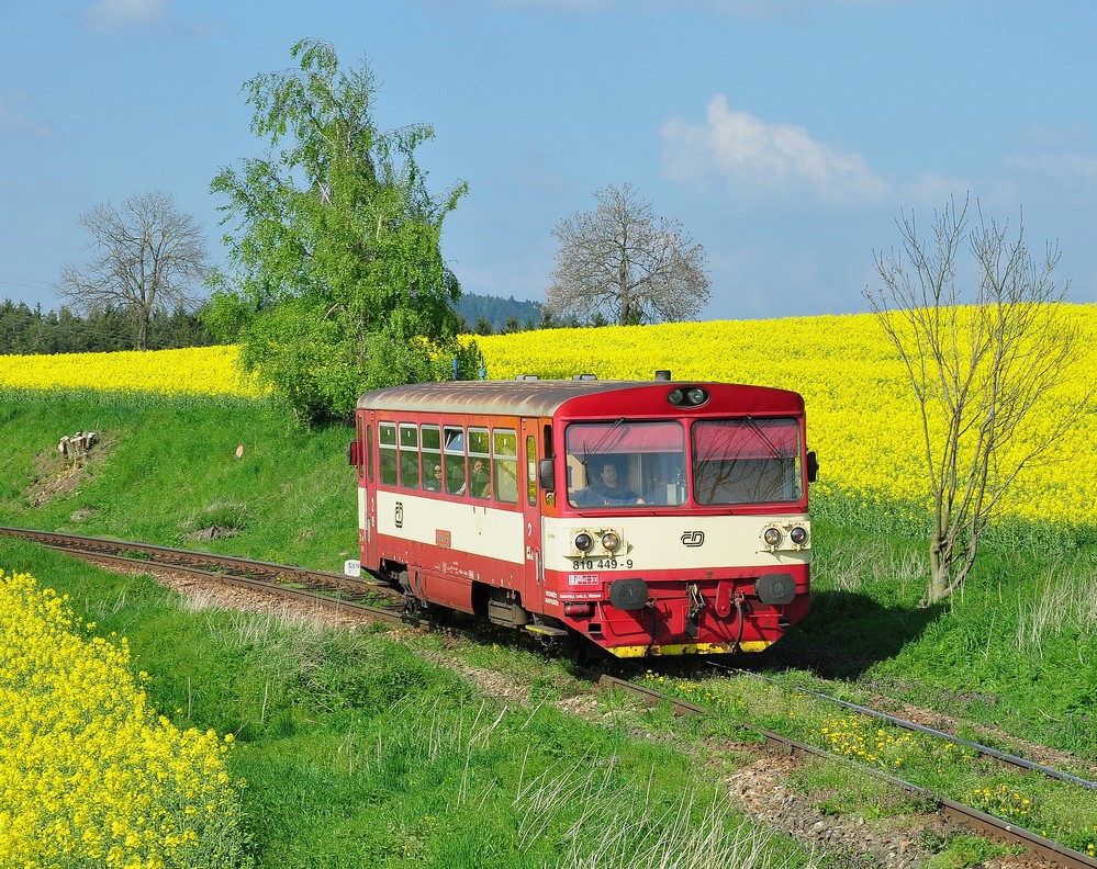 Rozsochy - Bystice nad Perntejnem