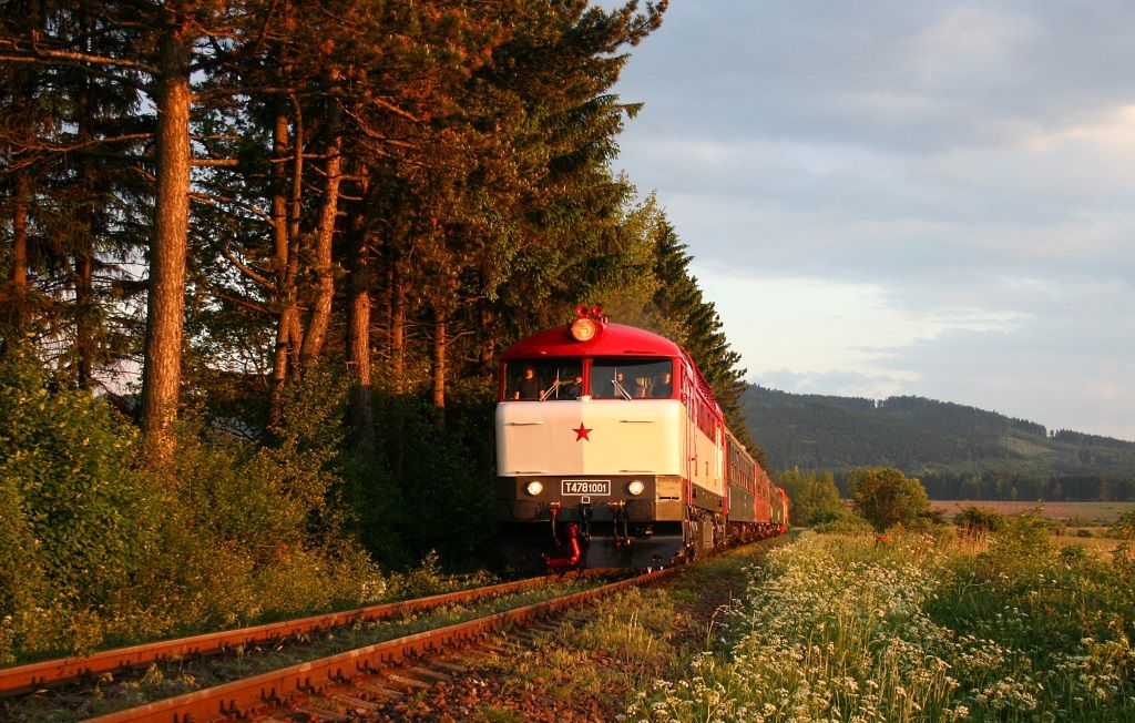 T478.1001, pk T478.1004, Horn tuba, 31.5.2014