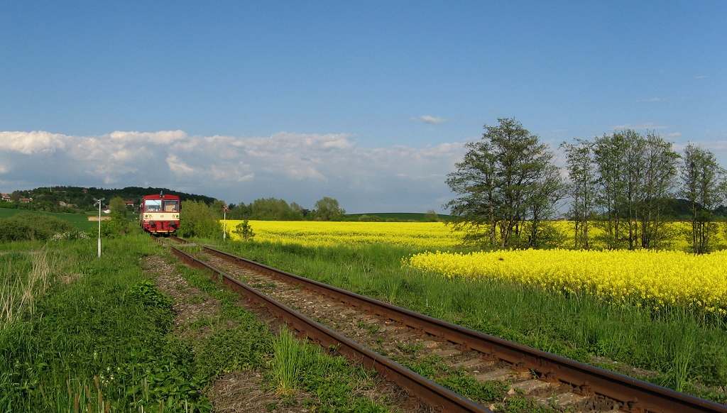 kvten 2008, Holice - Holice zstavka (pejezd k rybnku blakovec)