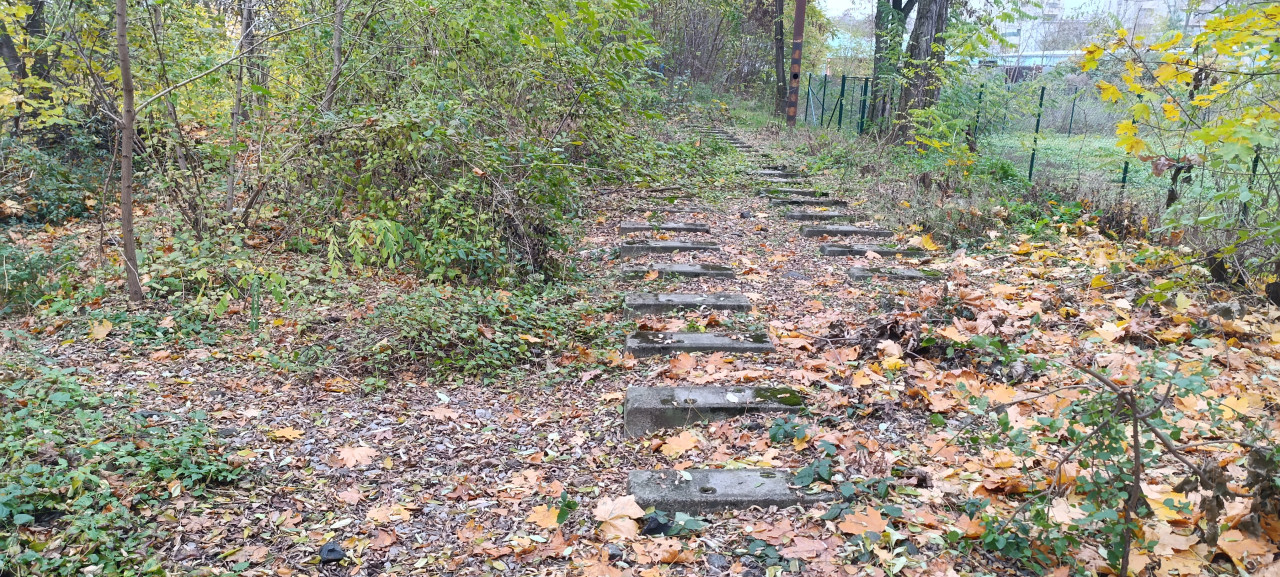 Nkladov ndra ikov 17.11.2024: vtah a turt Pramen 