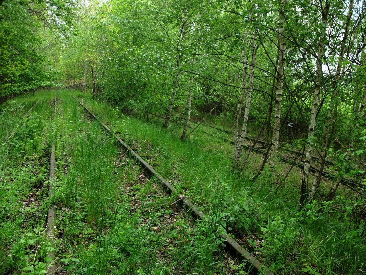 pohled z prvn koleje, kter mezitm odbhla trochu nahoru