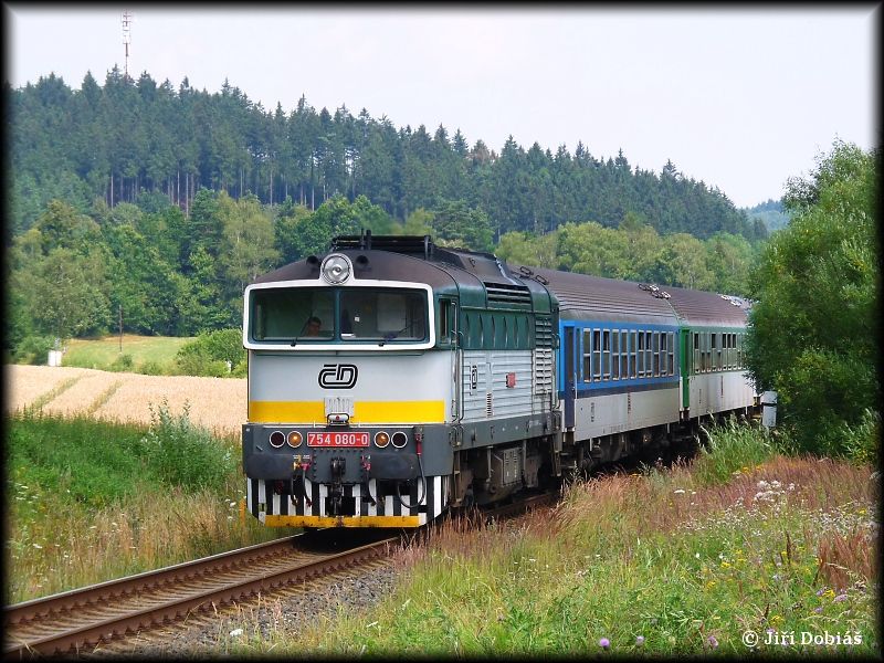 754.080, Hostaovice - Valask Mezi, 27.7.2013