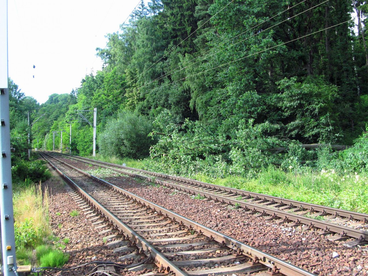 Jeden spadl strom = na skoro 24 h bordel se zpodnmi na 