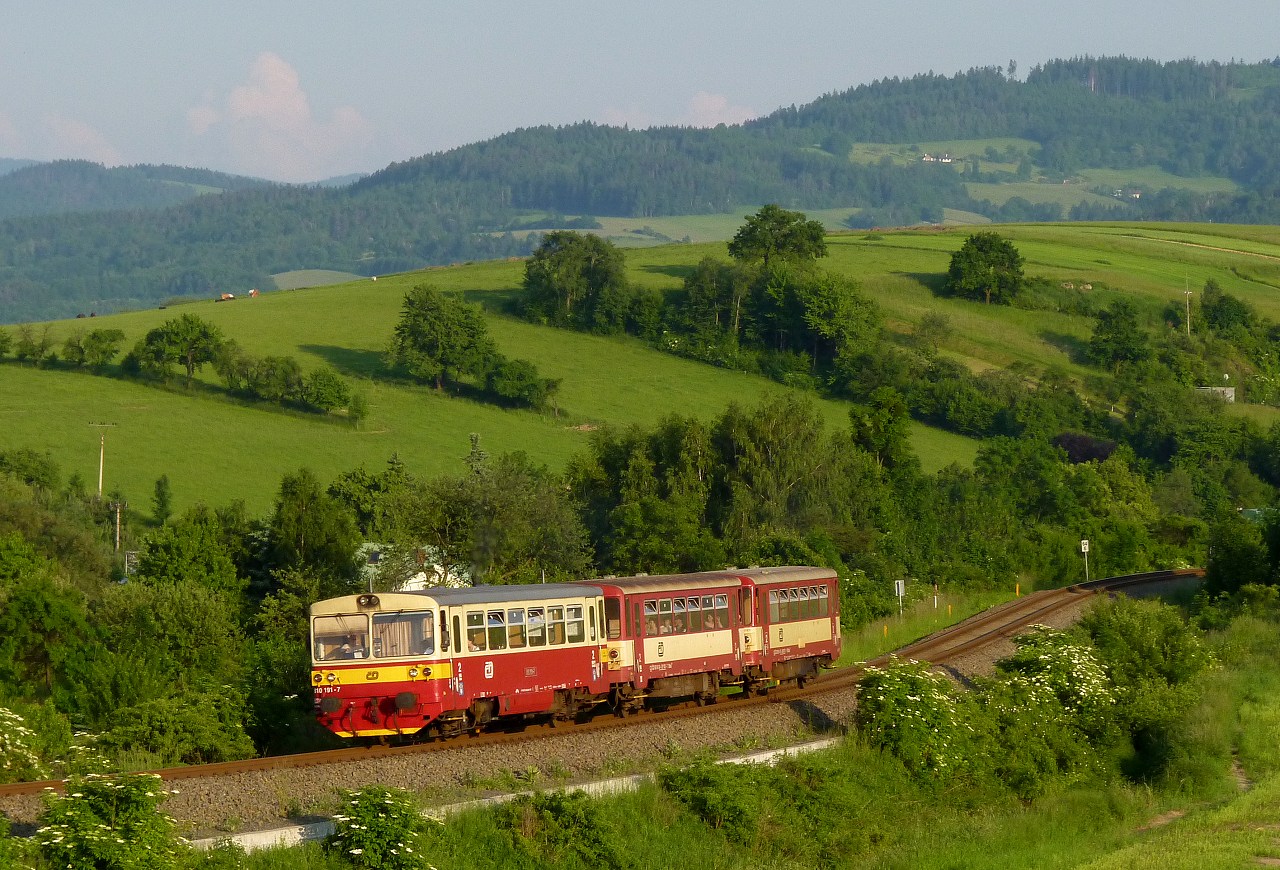 810.191 , Krhov, 8.6.2010,Os 3107, foto:Vojtch Gek