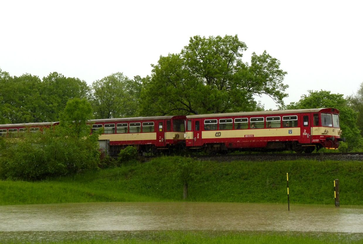 810.173 , Polin , 17.5.2010 , foto:Vojtch Gek