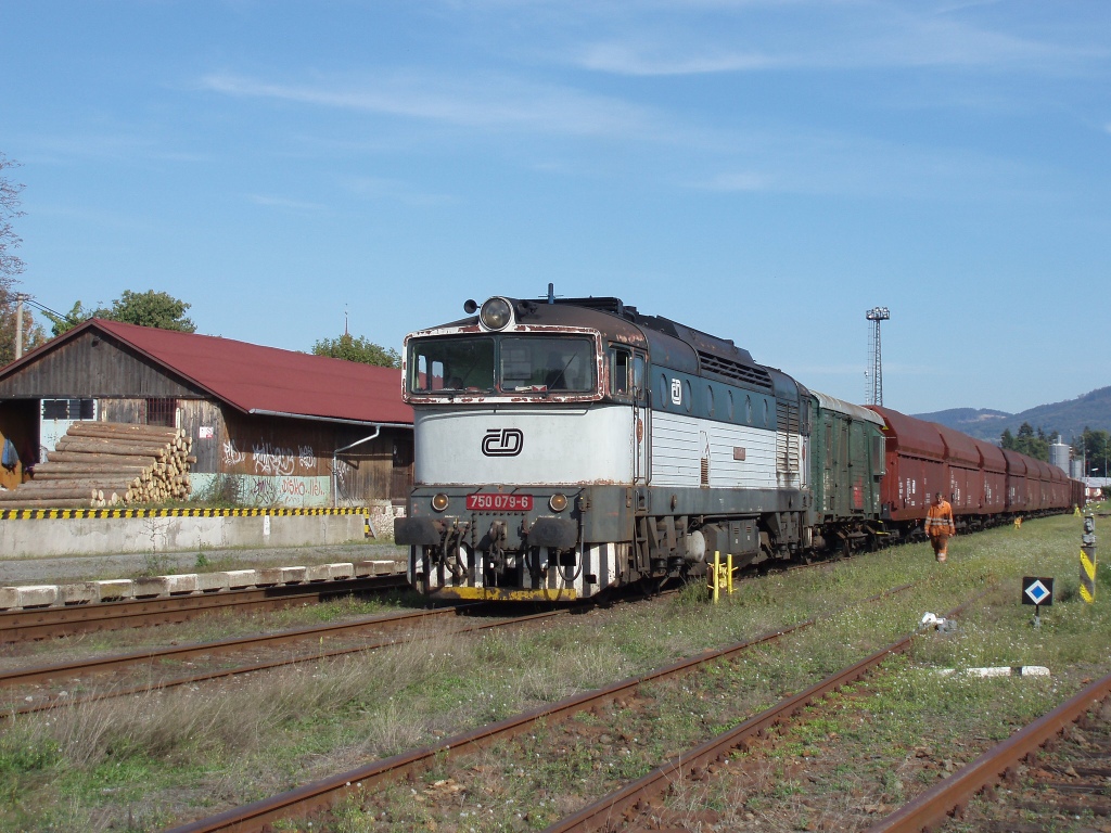 750 079-6 Holeov(9.10.2006,Mn 81050,foto-Martin Nesrsta)