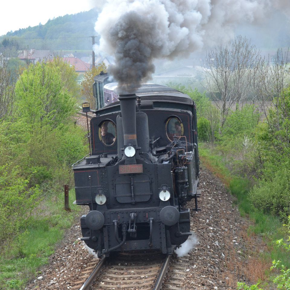 310.0134, esk Skalice - Starko, 4. 5. 2013