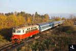 242.213, R 664 Romberk, Kardaova eice - Doov, 13.11.2022