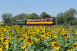 Os 10806 u Polkovic
