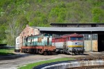 751.035,770.055 Plešivec 27.4.12