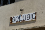 golubi