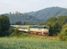 754.030, R 790, Pottejn, 23.6.2013, foto: Petr tembrek