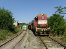 703.020-6, 742.199-3 vleka Zrubka, 11.6.2011