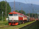 T478.1010+749.248, porn vlak, Vrtky, 3.6.2011