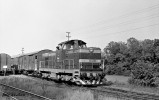 T466.0230  Skivany 18.7.1983