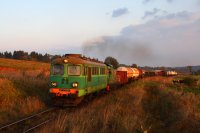 Poslední sluneční paprsky svítí téže lokomotivě na návrat z Čech při průjezdu kolem Golińsku. Jako vlaková vypomáhá SM42-078.